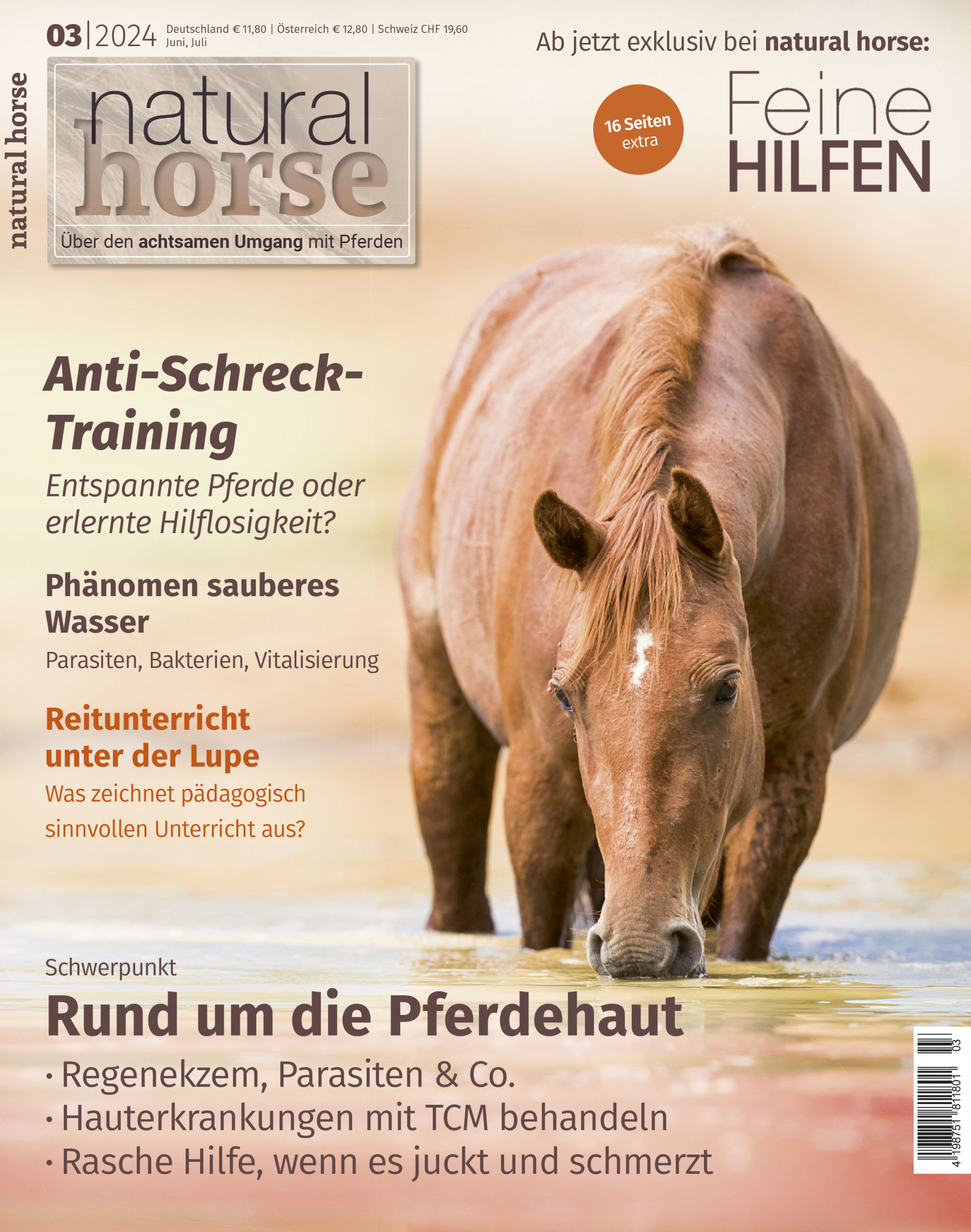 Richtiges Reiten oder Auswirkungen der (In)Zucht?